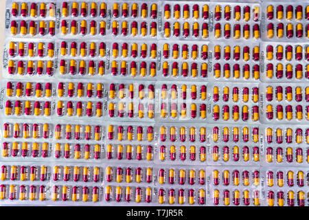 Capsula di antibiotico pillole in confezione blister alla linea di produzione dei prodotti farmaceutici Fabbricazione di fabbrica. Industria farmaceutica e galenico concept Foto Stock