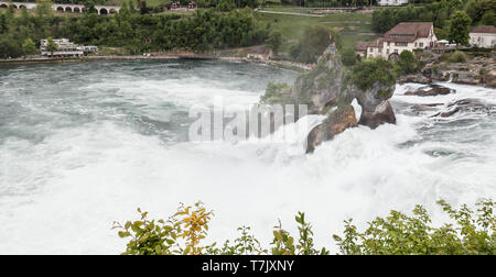 Le Cascate del Reno paesaggio panoramico a nuvoloso giorno di primavera, Svizzera Foto Stock