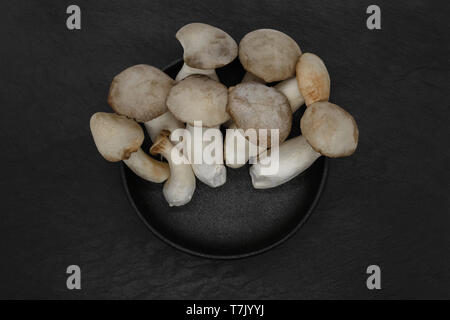 Composizione astratta di Eringi funghi in ghisa nera ciotola nero su sfondo di pietra Foto Stock