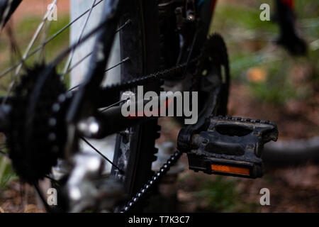 Chiusura del pedale di bicicletta e la catena nella foresta. Foto Stock