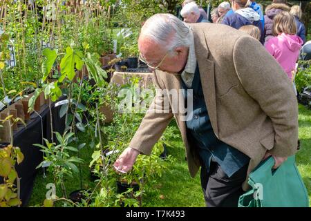 Fiera di piante e vendita a Longstock Park vivaio sul Leckford station wagon, Stockbridge, Hampshire, Regno Unito Foto Stock