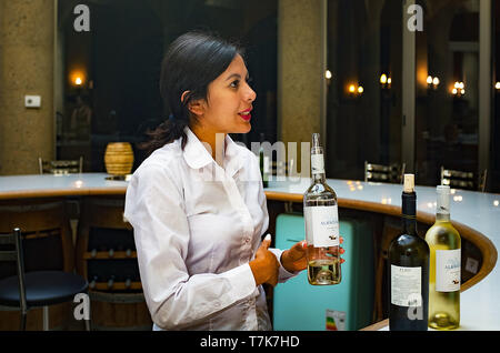 Aprile 2019: i visitatori godere di un tour e degustazione di vino presso il Haras de Pirque cantina nella valle di Maipo, Cile. Foto Stock