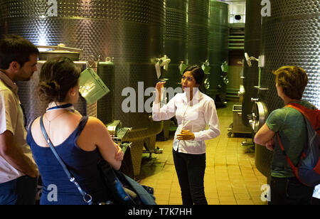 Aprile 2019: i visitatori godere di un tour e degustazione di vino presso il Haras de Pirque cantina nella valle di Maipo, Cile. Foto Stock