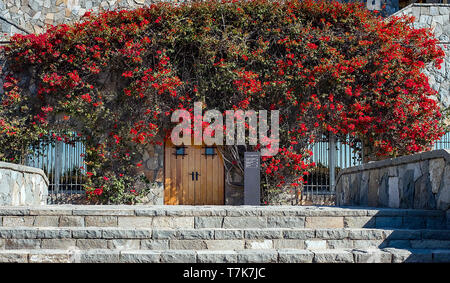 Aprile 2019: un colorato voce all'Haras de Pirque cantina nella valle di Maipo, Cile. Foto Stock