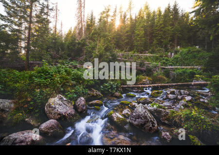 Mountain Creek che scorre sulle rocce della foresta Foto Stock