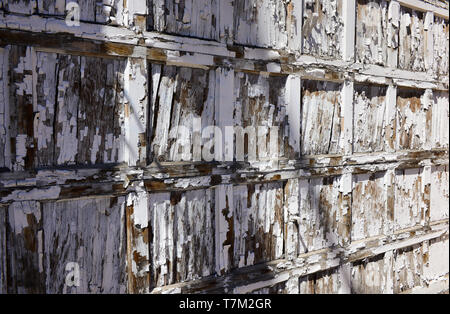 Un alterato e la vernice bianca peeling garage in legno porta in magazzino Quartiere delle Arti nel centro cittadino di Tucson, AZ Foto Stock