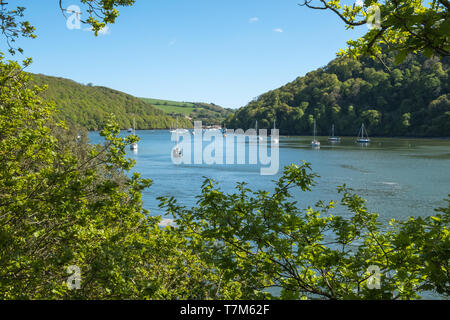 Vista lungo il fiume Dart da Galmpton verso Dartmouth nel Devon, Regno Unito Foto Stock