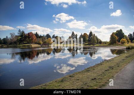 Riflessi di colori autunnali e il cielo blu con nuvole sul lago di Moana-Nui e dam in Tokoroa, Sud Waikato, Nuova Zelanda. Giornata di sole in autunno. Foto Stock