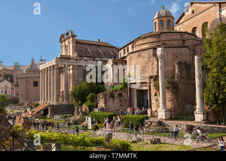 Foro Romano o Forum Romanum, (Italiano: Foro Romano) Roma,Italia Foto Stock