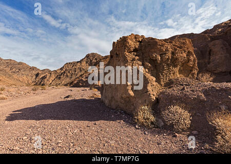 Un gigantesco masso e Desert Holly boccole guardia vicino all'ingresso al Canyon di Echo si restringe. Foto Stock