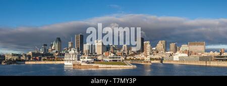 Canada Quebec, Montreal, skyline della città dal fiume San Lorenzo Foto Stock