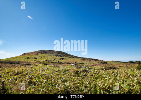 La via per il monte hallasan, Jeju Island, la Corea del Sud. Foto Stock