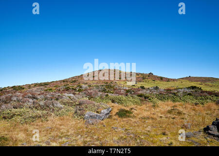 La via per il monte hallasan, Jeju Island, la Corea del Sud. Foto Stock