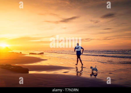 Uomo adulto e piccolo cane maltesi sono in esecuzione presso la spiaggia di tramonto Foto Stock