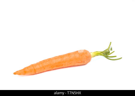 Mature carota fresco isolato su sfondo bianco Foto Stock