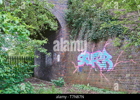 Graffiti sul muro di mattoni e ponte di una in disuso la linea ferroviaria Foto Stock