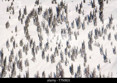 La foresta di abete rosso (Picea abies), in inverno, visto dall'aria. Tirolo, Austria Foto Stock