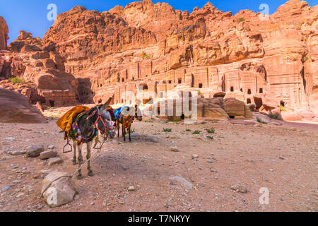 Le grotte di arenarie, Colonne e rovine di antiche città beduina di Petra, Giordania Foto Stock