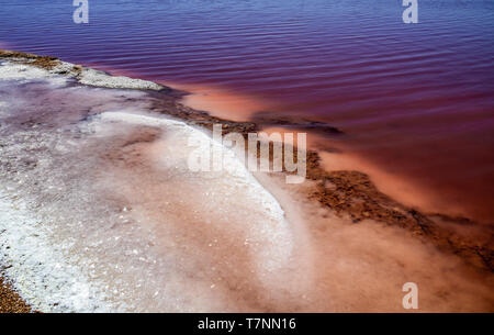 Laguna Salada in Torrevieja, Spagna. Rosa lago salato. Salinas parco naturale. Foto Stock