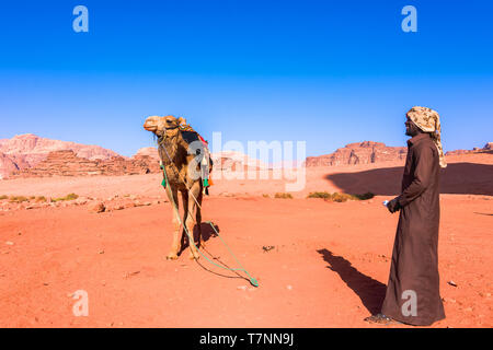 Beduin e cammelli nel Wadi Rum desert in Giordania Foto Stock