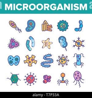 Cellule di microrganismi di linea sottile icone Set di vettore. Virus e batteri, organismi unicellulari, protozoi illustrazioni lineare. Cocchi e Bacillus. Infecti Illustrazione Vettoriale
