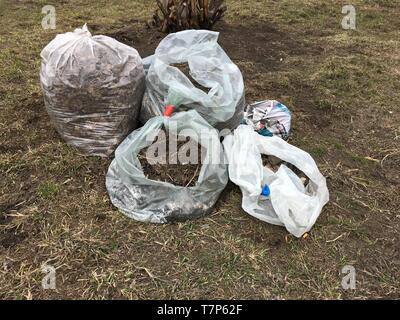 Sacchetti di plastica con caduta foglie sul prato. Foto Stock