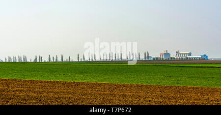 Limagrain gruppo creato e diretto da agricoltori, Ennezat, Limagne pianura, Puy de Dome, reparto Auvergne-Rhone-Alpes, in Francia, in Europa Foto Stock