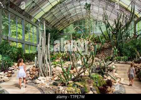 Indonesia, Bali, Centro Candikuning, Giardino Botanico, Serra per cactacee Foto Stock