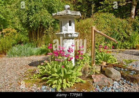 Giardini ATTADALE STRATHCARRON WESTER ROSS IN SCOZIA IN PRIMAVERA lanterna di pietra e bambù caratteristica dell'acqua nel giardino giapponese Foto Stock