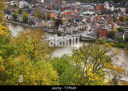 Mosa (MAAS) fiume in Namur. Belgio Foto Stock