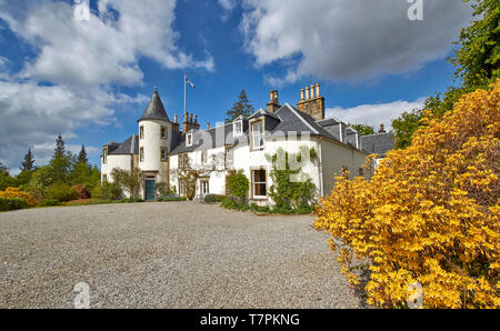 Giardini ATTADALE STRATHCARRON WESTER ROSS IN SCOZIA IN PRIMAVERA LA CASA CON IL GLICINE e grande giallo fragrante arbusto AZALEA Foto Stock