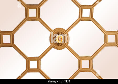 Opzionale per pannelli da soffitto e stucchi con ornamenti e ornamenti. Foto Stock