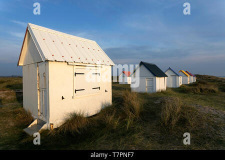 Fila di cabine sulla spiaggia, con tetti colorati su un prato di dune coperte con splendida vista sull Oceano Atlantico a Gouville-sur-Mer, Normandia, Francia Foto Stock