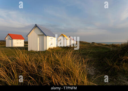 Fila di cabine sulla spiaggia, con tetti colorati su un prato di dune coperte con splendida vista sull Oceano Atlantico a Gouville-sur-Mer, Normandia, Francia Foto Stock