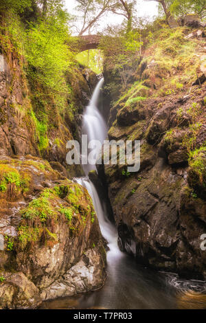 La visualizzazione classica di Aira Force vicino a Ullswater nel Parco Nazionale del Distretto dei Laghi, REGNO UNITO Foto Stock