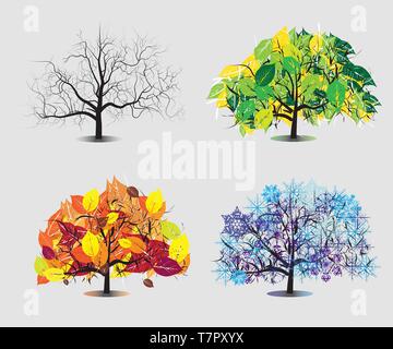 Four seasons tree Illustrazione Vettoriale
