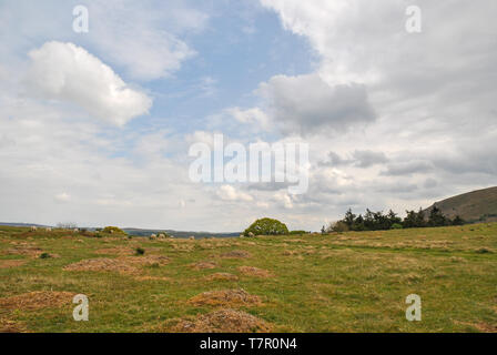 Un landscpae foto mostra nuvole di contrasto e cielo blu Foto Stock