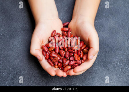 Fagioli rossi nelle mani di bambini. Grigio pietra dello sfondo. Vista dall'alto. Foto Stock