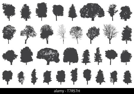 Set di alberi isolati sagome Illustrazione Vettoriale