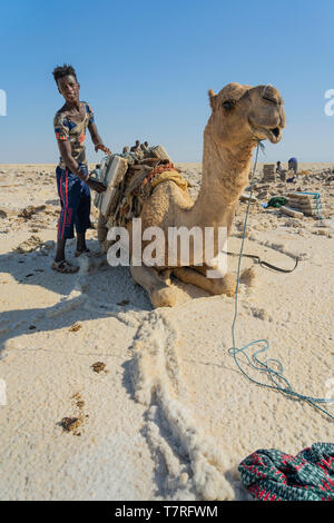 Lontano uomini al lavoro nelle pianure di sale nella depressione di Danakil in Etiopia in inverno. Foto Stock