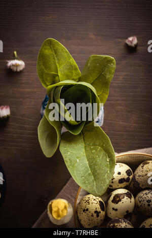 Foto verticale con vista dall'alto su alcune foglie fresche di spinaci. Gli spinaci ha un bel colore verde e poche gocce di acqua sono su di essi. Gli spinaci sono in vaso di ceramica o Foto Stock