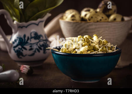 Foto orizzontale di vintage tavola di legno con diverse bocce che contengono di germogli di fagioli dolci, uova di quaglia e spinaci. Panno di luce è in una ciotola. Foto Stock