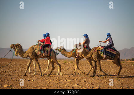 Camel caravan con i turisti che passano attraverso il deserto del Sahara Foto Stock