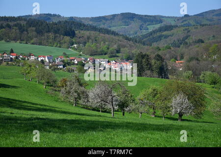 La piccola città Oberflockenbach nell'Odenwald in primavera. Alcuni white-alberi fioriti davanti. Weinheim, Baden-Württemberg, Germania. Foto Stock