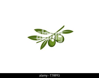Ramo di oliva con olive e foglie verdi per il logo Illustrazione Vettoriale