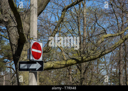 Famiglie passeggiate tra alberi toronto high park fiori ciliegio Foto Stock