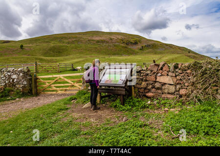 Walker lettura scheda di informazioni circa il 1402 Battaglia di Homildon Hill, con Humbleton/Homildon Hill in background. Northumberland, Regno Unito.Maggio 2019. Foto Stock