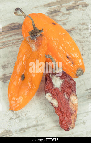 Vecchio rugoso peperoni con stampo sul vecchio sfondo rustico. Concetto di malsano e cibo disgustoso Foto Stock