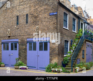 Pietra grottesche di Griffin e vasi di fiori su una casa scala. Colomba Mews, South Kensington SW7, Londra. Inghilterra Foto Stock