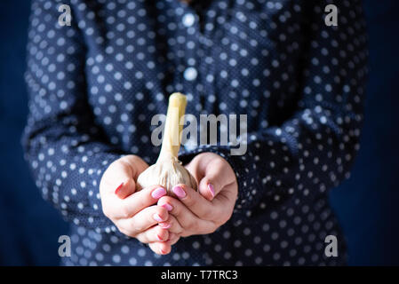 Aglio nelle mani della ragazza. Una ragazza con una manicure detiene l'aglio. Close up Foto Stock